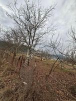 Burdur Ağlasun Hisarköy’de 4.400m2 Satılık Ceviz Bahçesi - BURDUR AĞLASUN fotoğraf 3